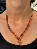 Terre d’élégance