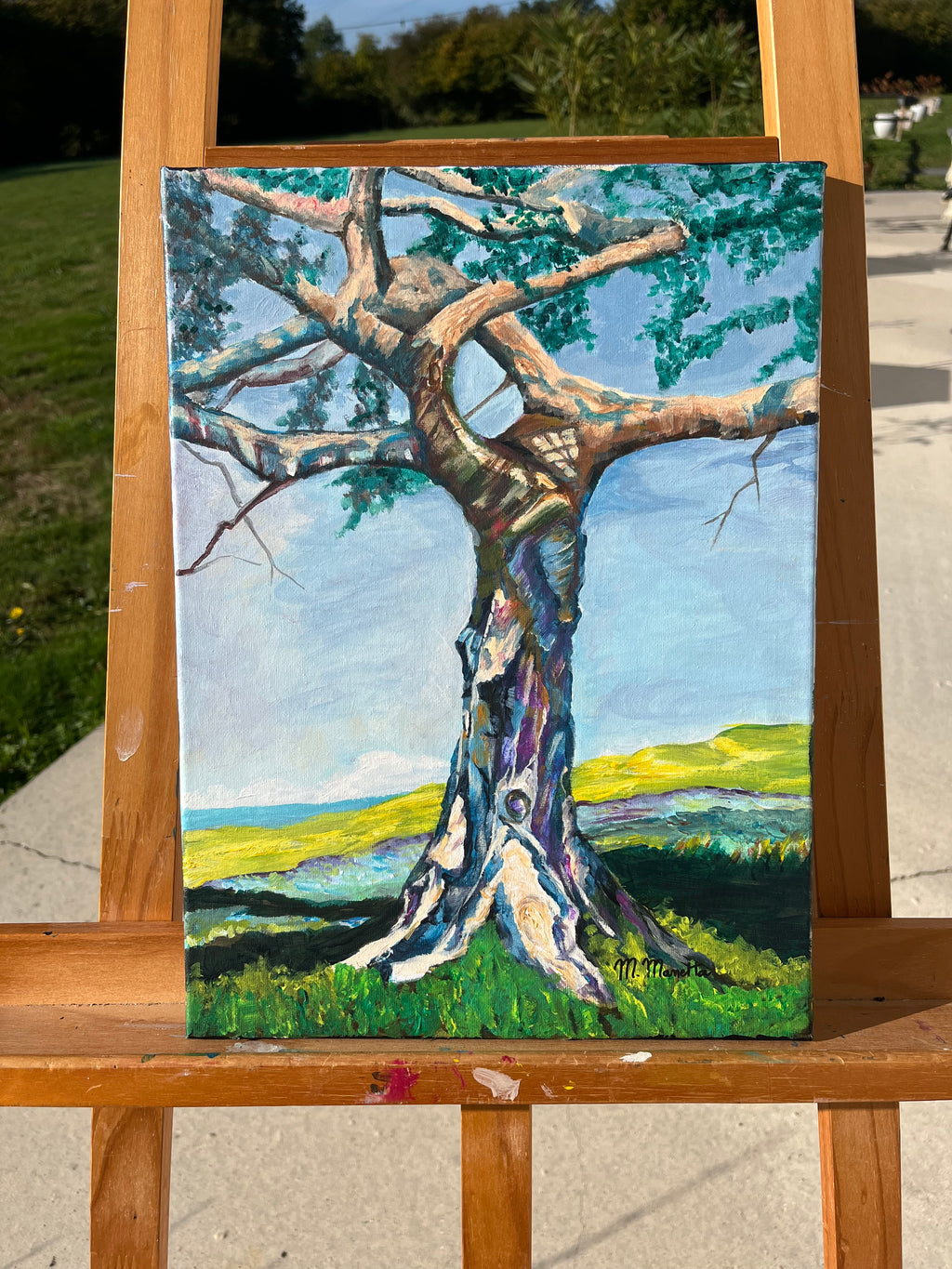 Sous les branches du temps