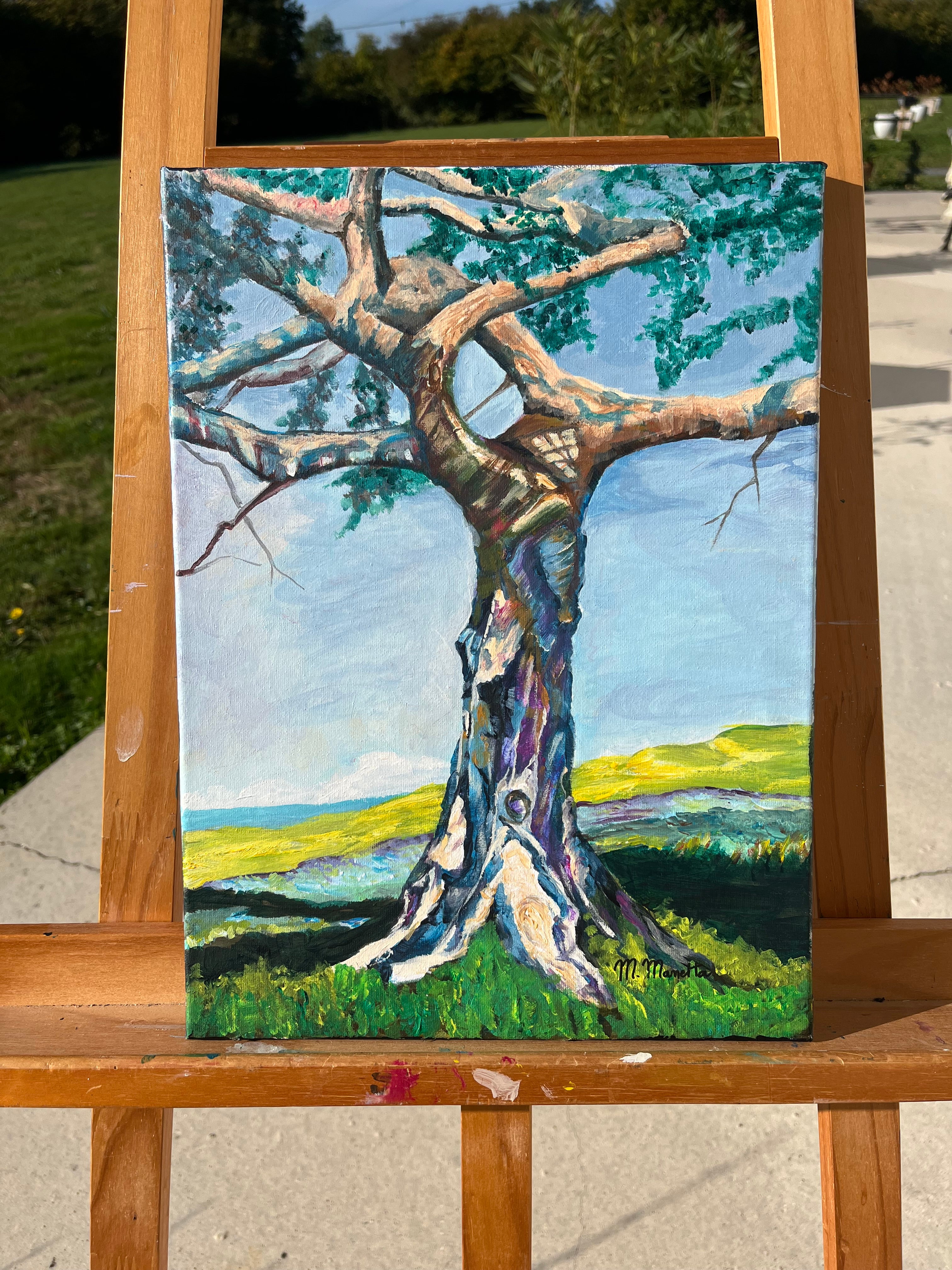 Sous les branches du temps