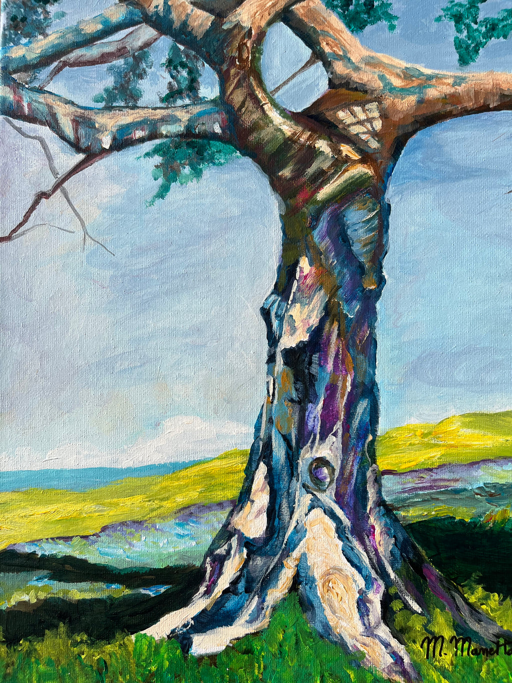 Sous les branches du temps