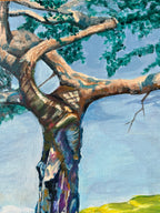 Sous les branches du temps