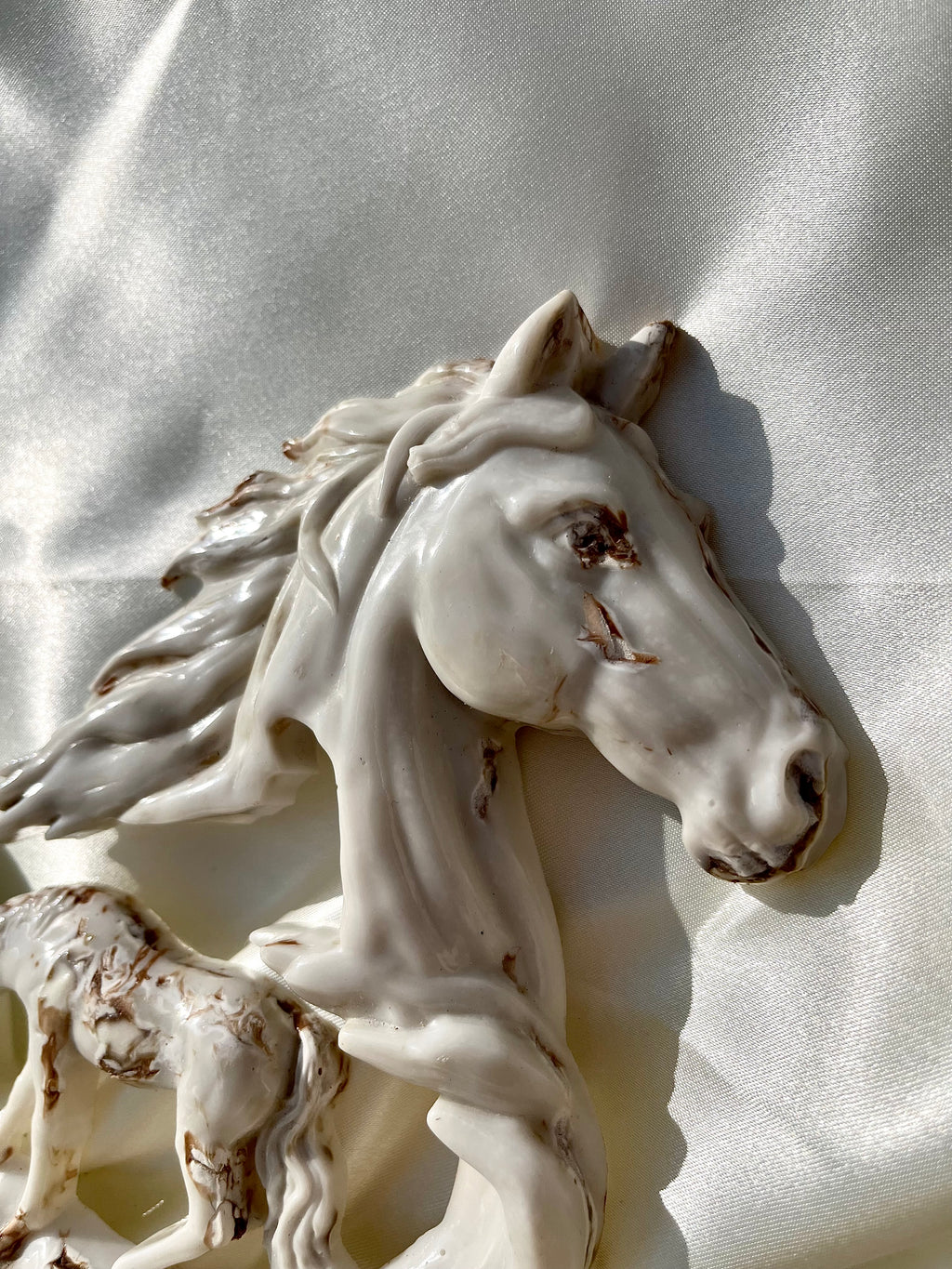 L’âme des chevaux