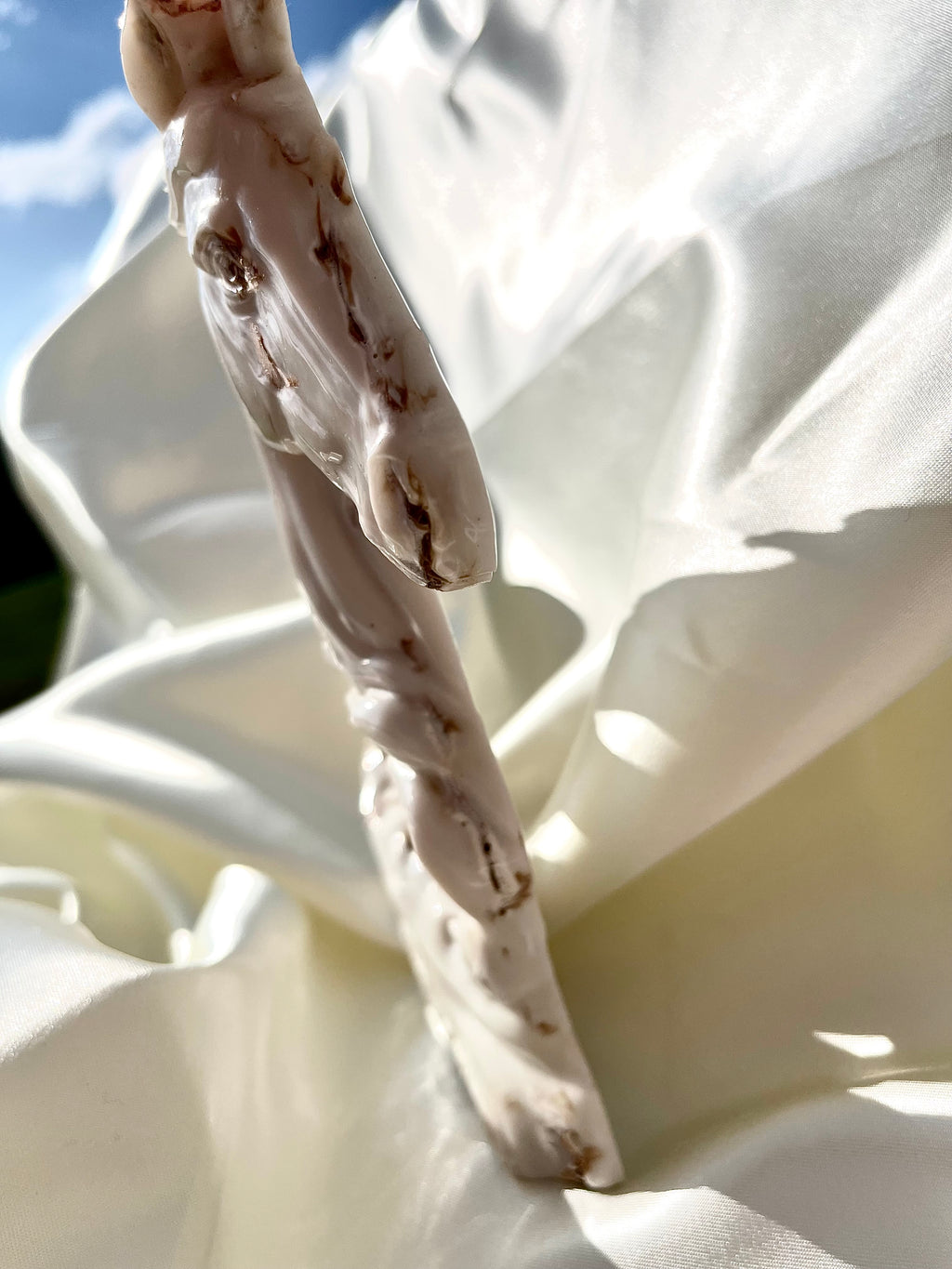 L’âme des chevaux